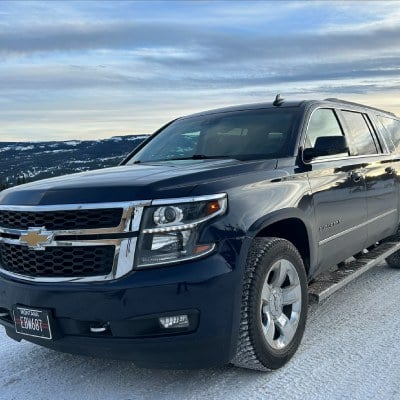 LIMOUSINE SERVICES